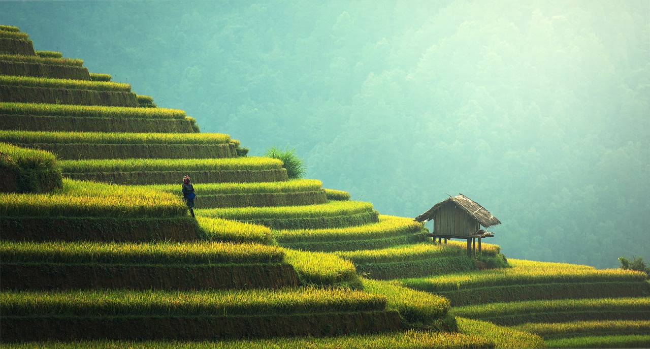 The Impact of Agriculture on Freshwater Ecosystems